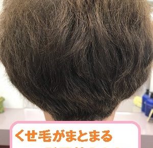 髪の毛の段とは 美容師が解説します 図解あり 美容師のみちしるべ