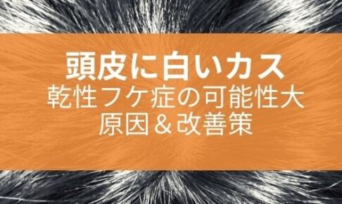美容師監修 アミノ酸シャンプーの洗い方 絶対知りたい7つのポイント 美容師のみちしるべ
